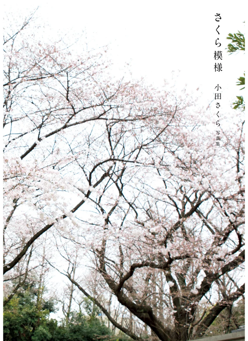 小田さくら ファースト写真集 『 さくら模様 』 試し読み 6
