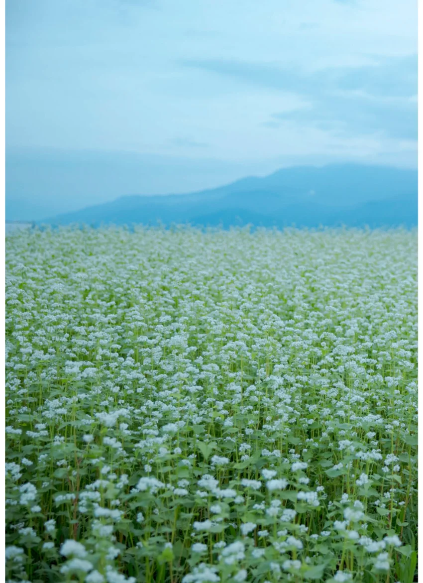 【デジタル限定】葉月あや 写真集 『 Beautiful 』 試し読み 3