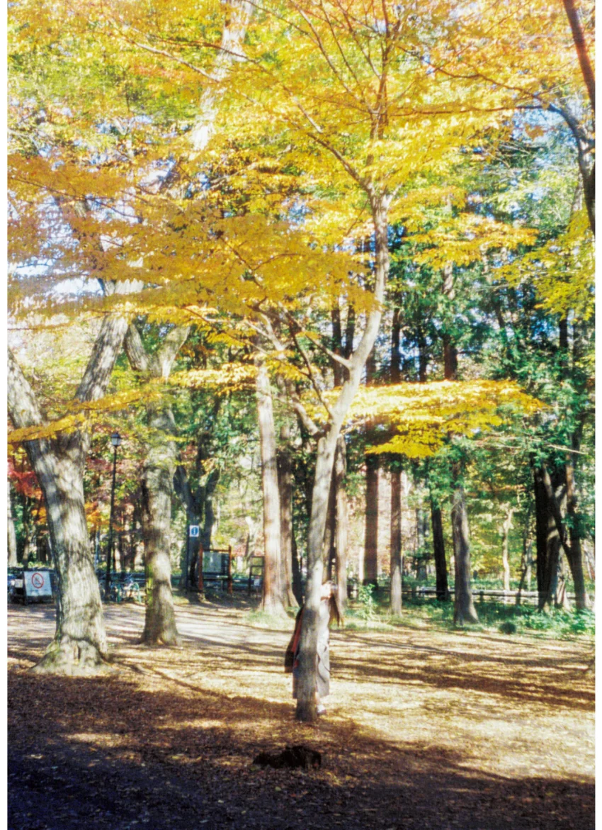 北向珠夕 写真集 『 M〜気の向くままに〜 』 試し読み 3