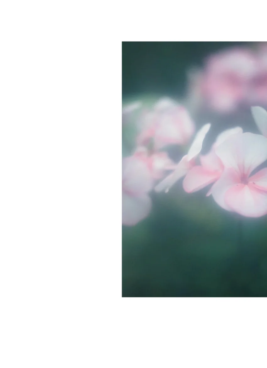 世界 玉城ティナ デビュー10周年記念写真集 試し読み 4