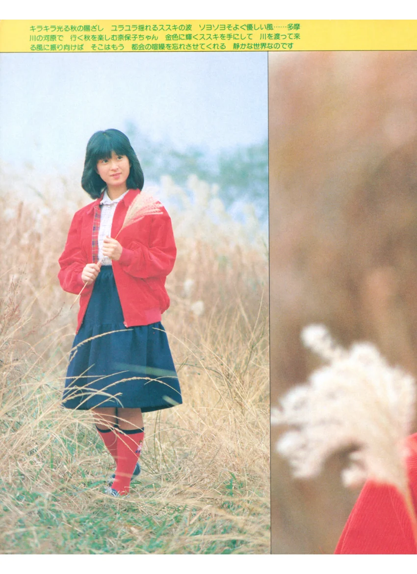 別冊近代映画 河合奈保子特集号 試し読み 5