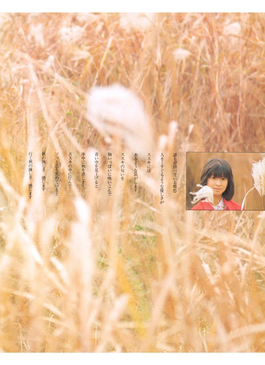 別冊近代映画 河合奈保子特集号 試し読み 6