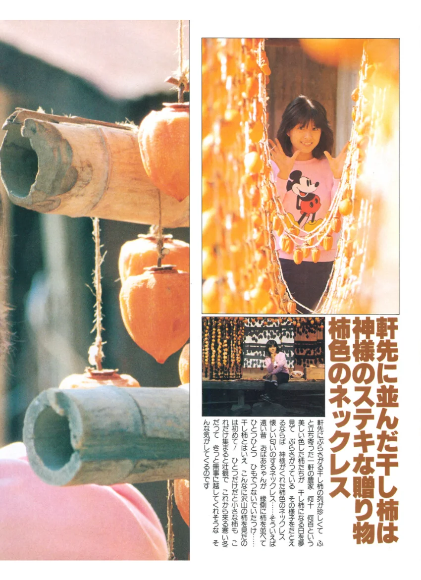 別冊近代映画 河合奈保子特集号 試し読み 10