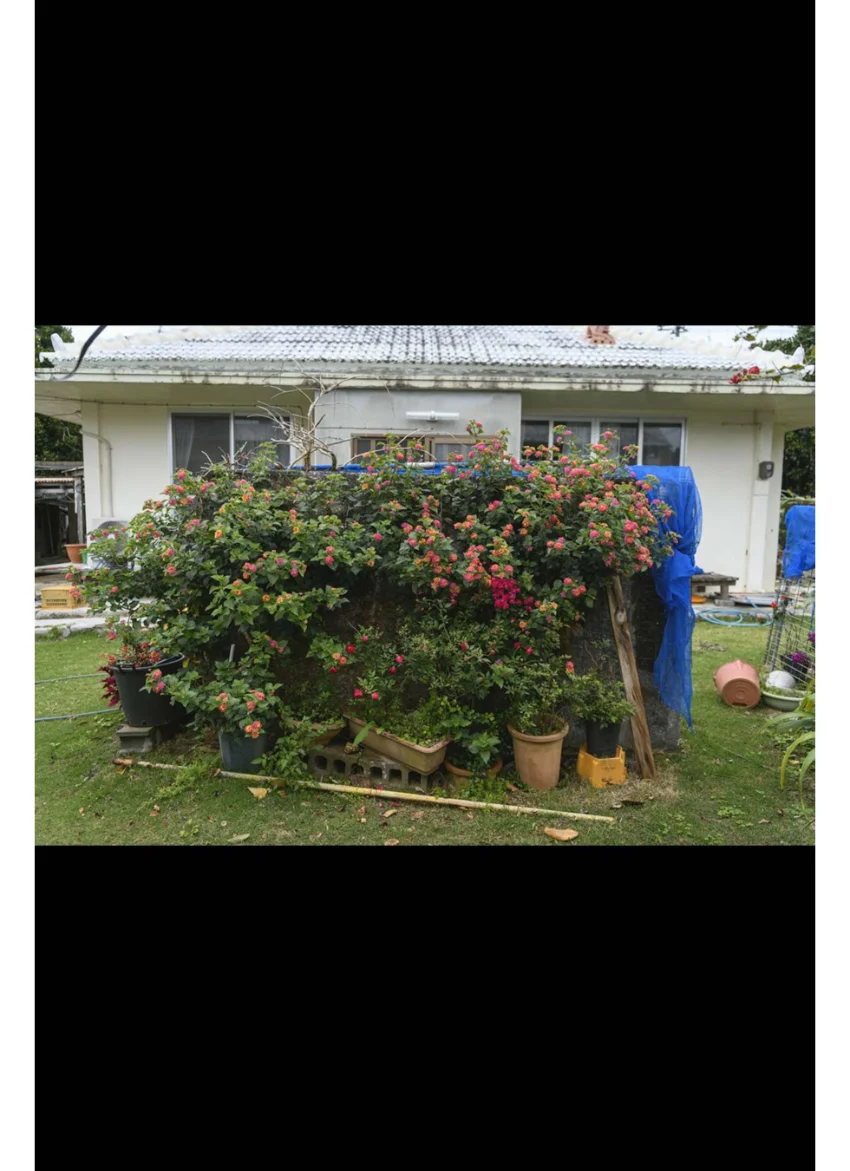 OKINAWA LITTLE TRIP Vol.9 みなみ 5 試し読み 2