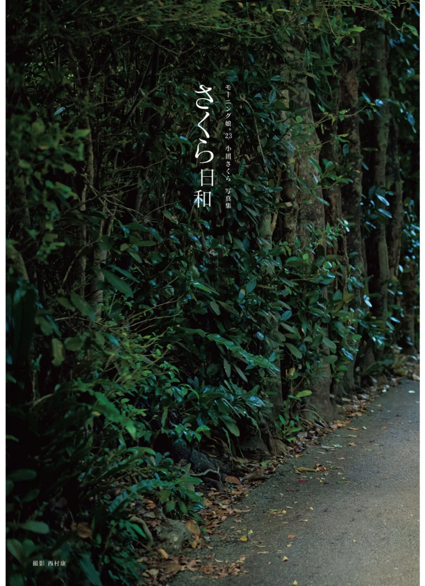 モーニング娘。’23 小田さくら 写真集 『 さくら日和 』 試し読み 5