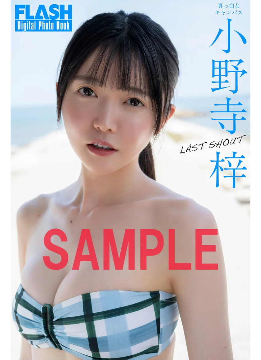FLASHデジタル写真集 小野寺梓 LAST SHOUT 試し読み 1