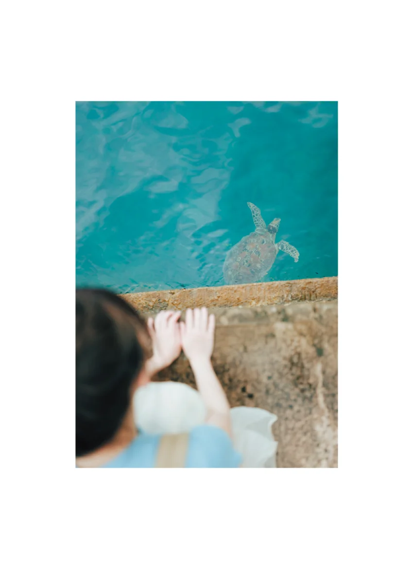 わーすた 廣川奈々聖 1st写真集『なちゅらる』【電子版特典付】 試し読み 3