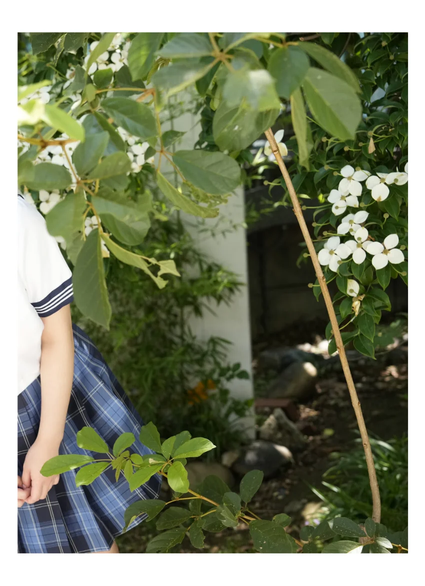 天木じゅん 登校日に二人だけ 試し読み 2