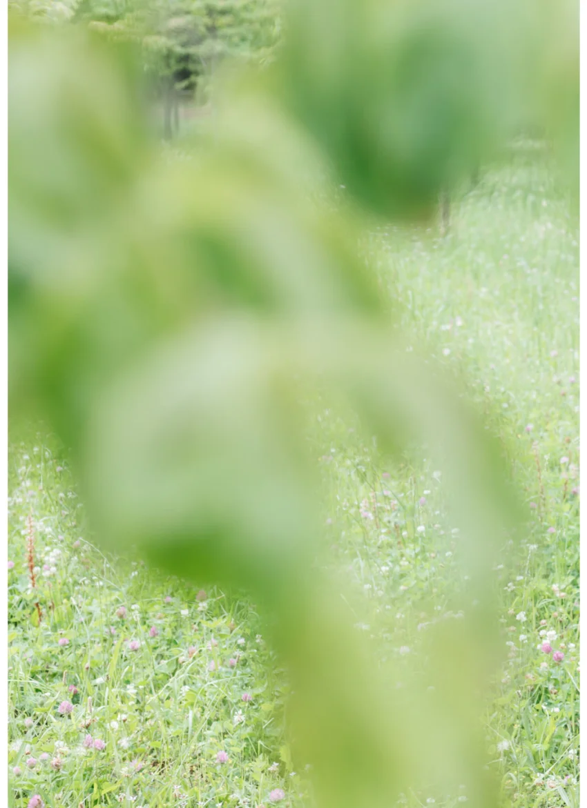クイックショット Quick Shot 魔白レイナ 公園で見つけた小悪魔ちゃん 試し読み 13